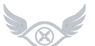 Angel Eye View winged-eye logo